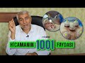 Hicamann 1001 faydas  1ci hiss  fizuli hseynov