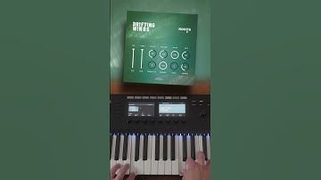 FREE woodwinds sample library