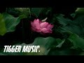 구름이 피워낸 꽃 별이 잘보이는 망루위에서 작곡 아련한 동양풍음악 Orchestra Oriental Music Sad Music Drama Relaxing Music 구름이 피워낸 꽃 별이 잘보이는 망루위에서 작곡 아련한 동양풍음악 Orchestra Oriental Music Sad Music Drama Relaxing Music