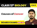 Causes of Cancer - Human Health and Disease | Class 12 Biology