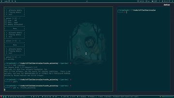 Automatic Runtime Analysis : tcache poisoning [heap exploitation]