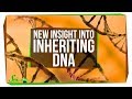 You Can Inherit Mitochondrial DNA from Both Parents! | SciShow News