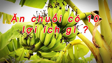 Top 10 lợi ích của quả chuối cần biết || Tôi Yêu Sức Khỏe