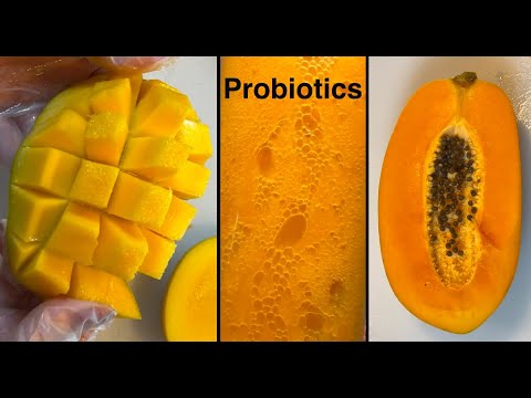 چگونه از انبه و پاپایا پروبایوتیک گازدار بسازیم         