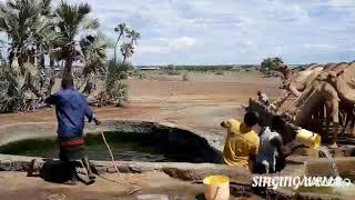 Gabra Nomads Song During Watering For Camel.