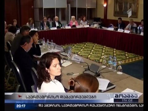 უცხოელი დამკვირვებლები წინასაარჩევნო გარემოს ეცნობიან