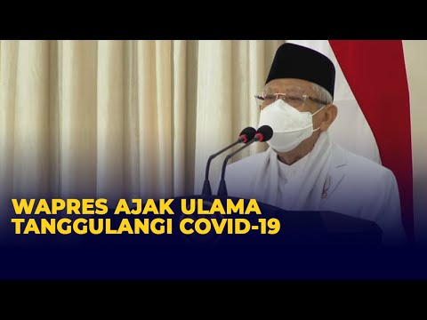 Video: Konferensi Pers Pertama Dengan Perwakilan Dari Nenek Moyang Umat Manusia Tidak Akan Berlangsung - Pandangan Alternatif