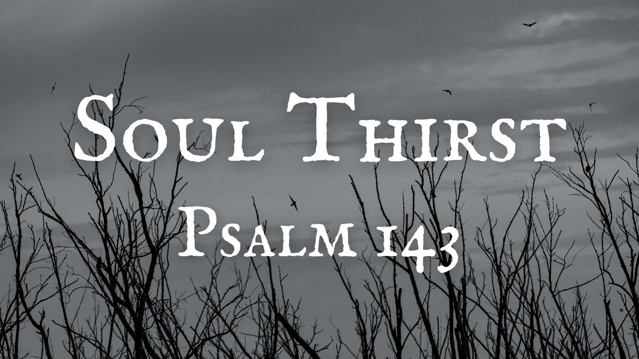 Demon S Souls Soul Thirst Not Working