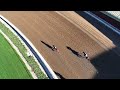 Drone Footage - Fractious wins Race 8 on Friday, October 9th at Santa Anita Park