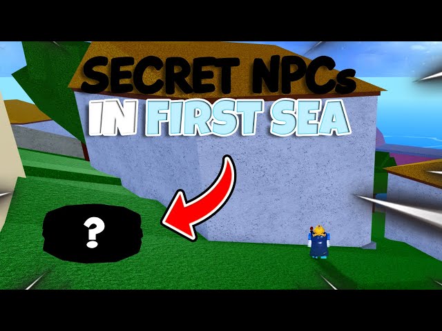 6 HIDDEN NPCS* in the First Sea that you have Missed Blox Fruits 