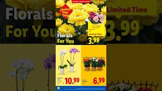 🇺🇸 LIDL USA  Weekly Ad 7/22  - 7/28  2026 mobile version