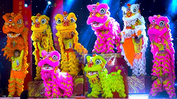 Múa Lân Cực Hay 2024 / LSR Hằng Anh Đường biểu diễn Lân Sư Rồng tại lễ hội Tết Nguyên Tiêu Quận 5