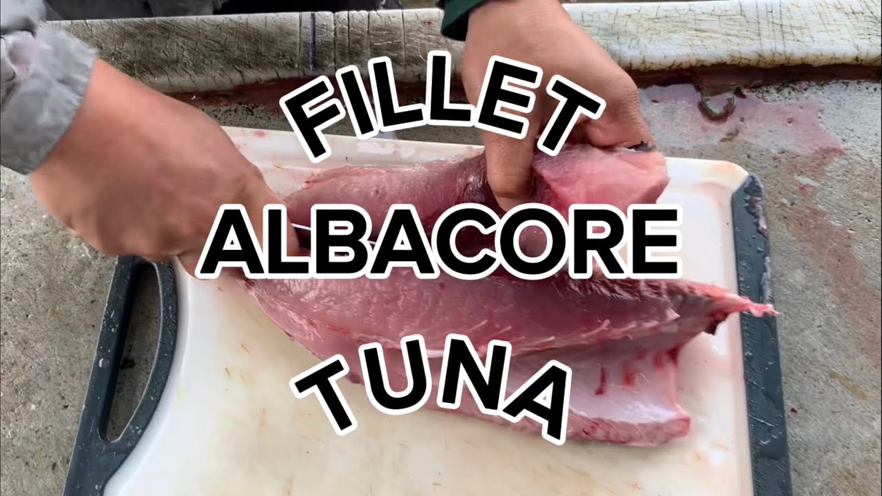 How to fillet tuna fish.. YouTube