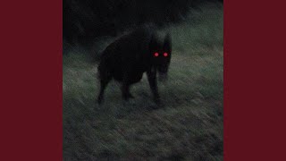 PREDATOR (Ultra Slowed)