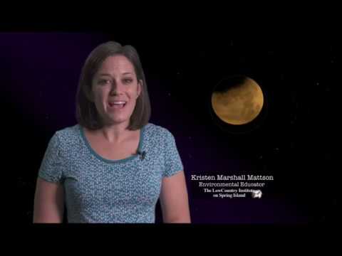 Night Skies: Lunar Eclipses