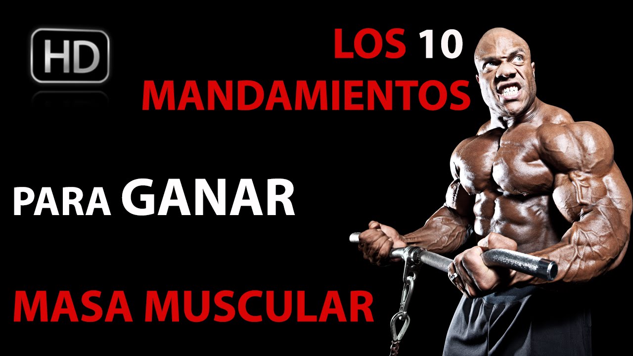 como tener masa muscular si soy flaco
