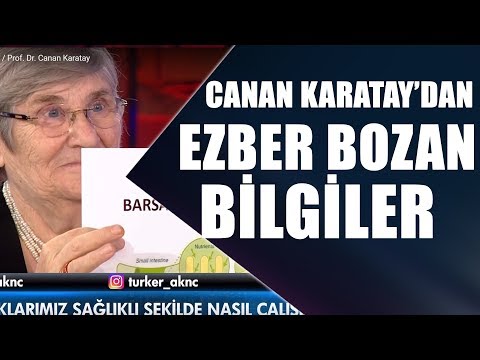 Video: Bitki sporları ve bakteri sporları nasıl farklıdır?