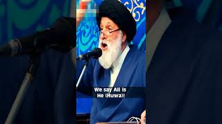 The purest Tawhid on this earth right now. #shirk #shorts #ahlulbayt  #iran🇮🇷