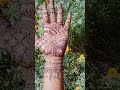 beautiful front hand mendi design ✨🍃 #bridalmehndi #mendi #shortsvideo #viral
