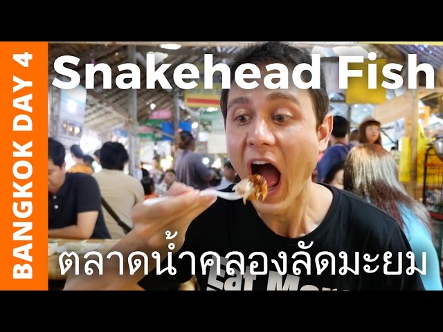 Snakehead Fish at Khlong Lat Mayom Floating Market - Bangkok Day 4 | Mark Wiens