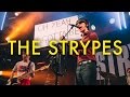 The Strypes - Tour & Album News