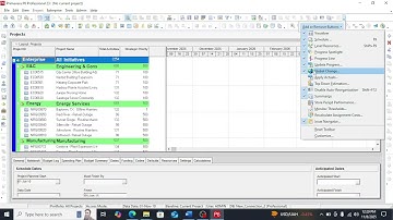 Primavera P6 : Complete customization of Basic User Interface Guide(Step-by-Step Tutorial)"