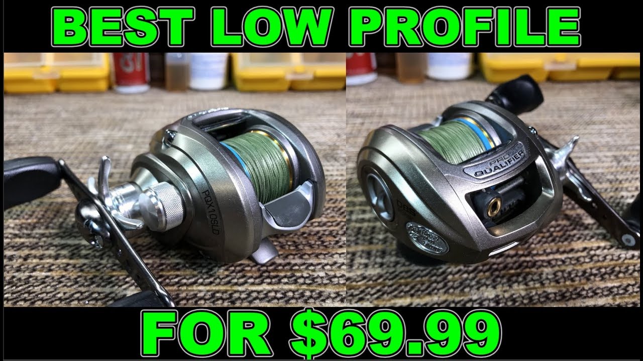 Bass Pro Shops Pro Qualifier reel review and Carbontex drag washers  replacement 
