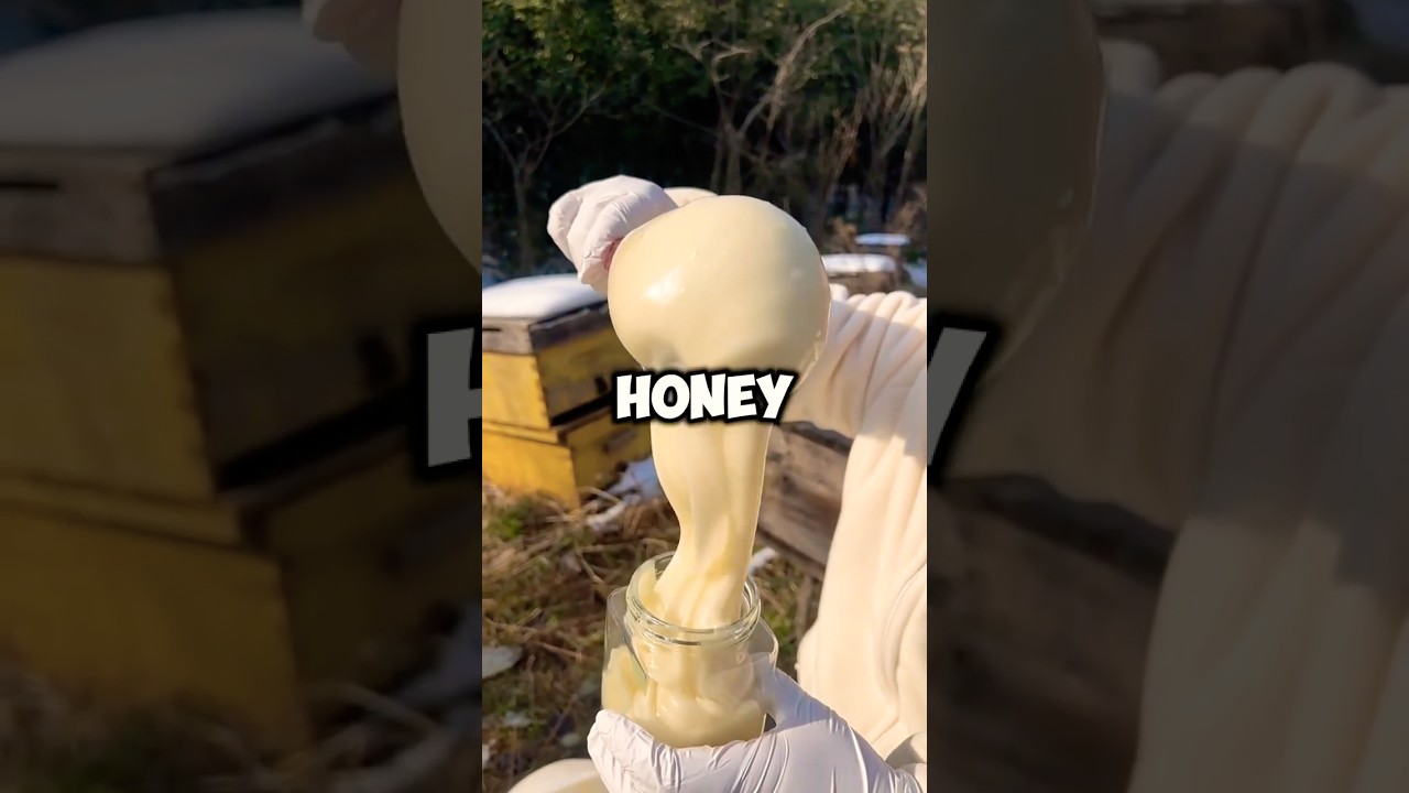 Почему этот мёд совершенно белый?! 