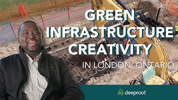 Innovative Stormwater and Tree Solutions with Silva Cells in London, Ontario