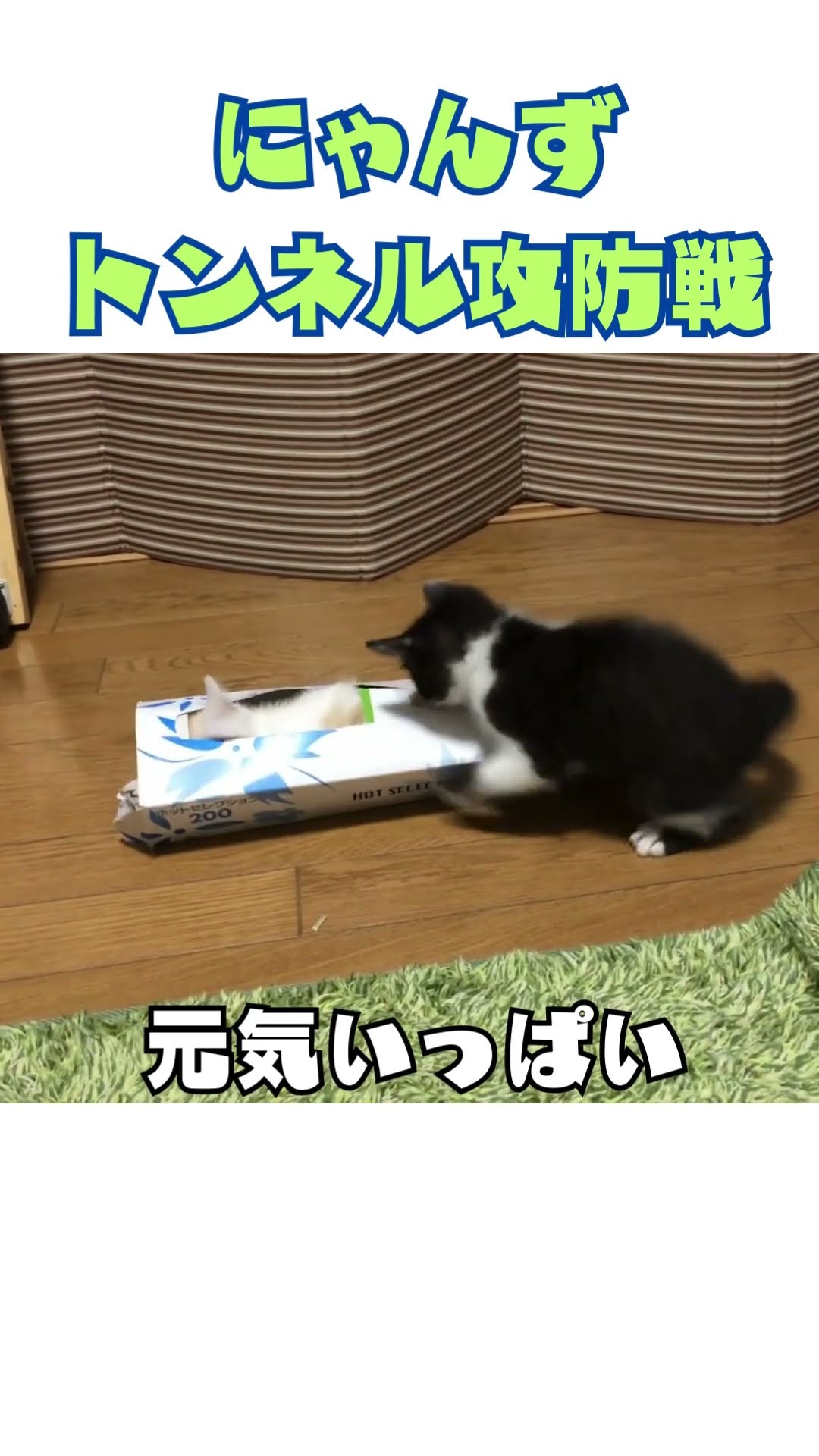 ぐっさん - YouTube