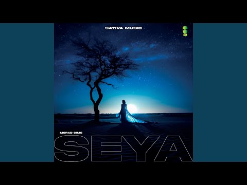 Morad & GIMS - Seya