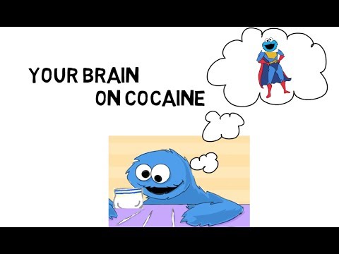 Your Brain on Cocaine