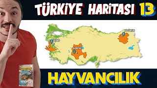 Türki̇yede Hayvancilik - Türkiye Harita Bilgisi Çalışması Kpss-Ayt-Tyt