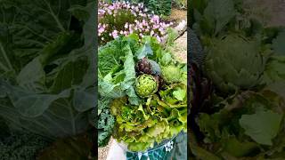 Cosecha De Temporada