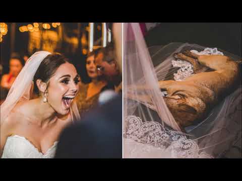 Cachorro invade casamento,