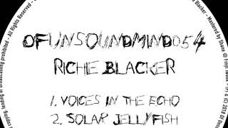 Richie Blacker - Voices In The Echo