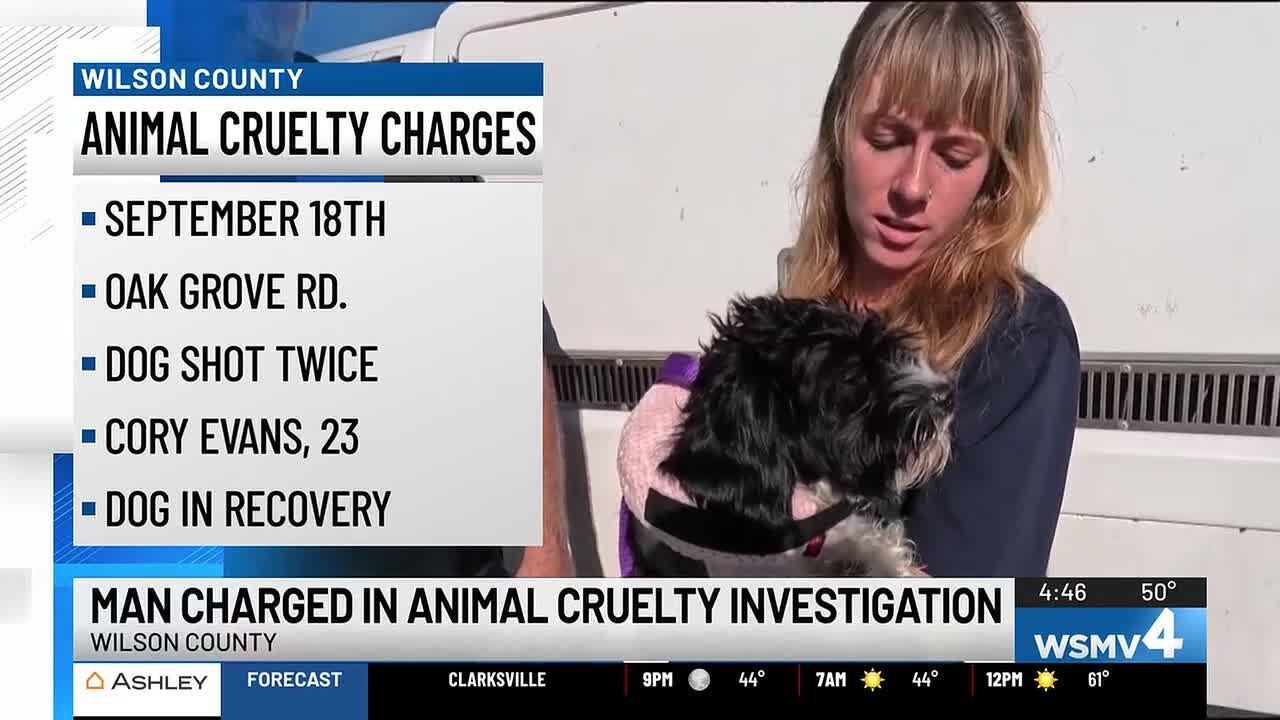 Man charged in animal cruelty investigation - YouTube