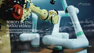 Company Video