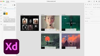 Adobe XD July Update: Label Assets | Adobe Creative Cloud