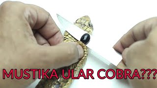 MUSTIKA ULAR KOBRA/REAL OR FAKE??