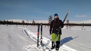 Лыжи и крепления для лыжного похода  Три современных варианта