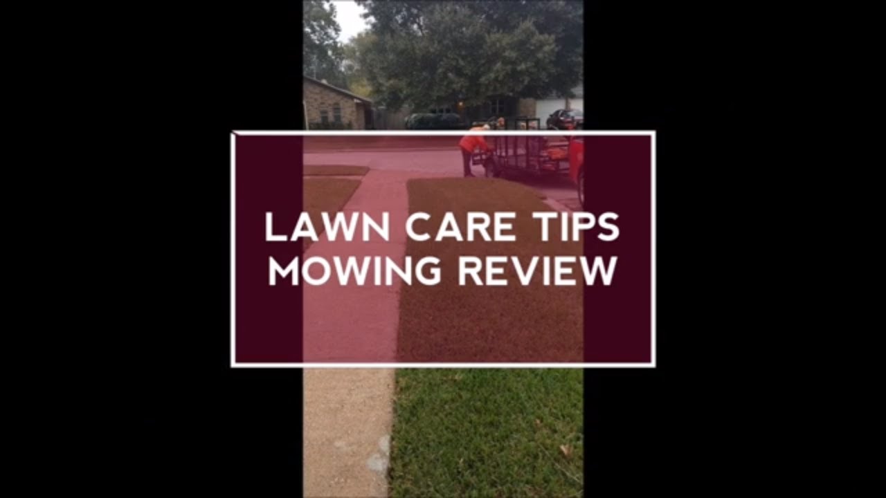 Lawn Care Tips and Reviews