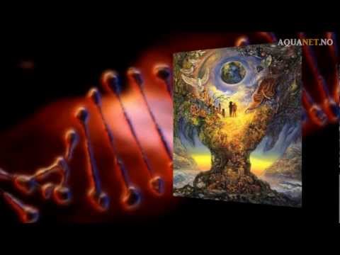 NEW Time Energy With The INDIGO & CRYSTAL Childen