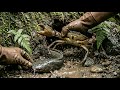 Mencari Harta Karun Sungai Kecil Berburu Ikan dan Kepiting Hutan dengan Teknik Menimba