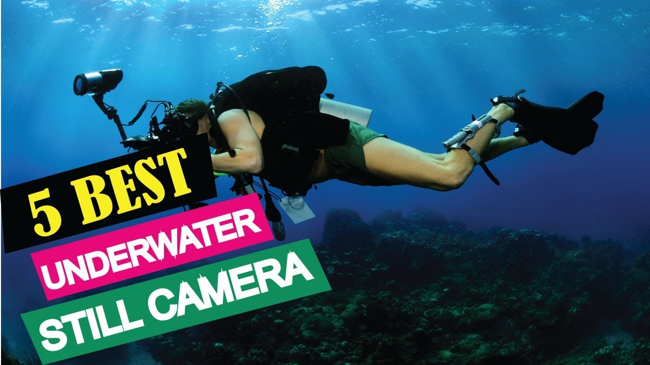 5 Best Underwater Still Camera 2019 Top 5 Underwater Still Camera