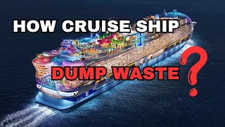 How Cruise Ships Dump Their Waste #thewwinsight