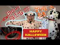 🇺🇸미국회사 할로윈파티🎃 &amp; 고속도로에서 타이어 펑크남😱