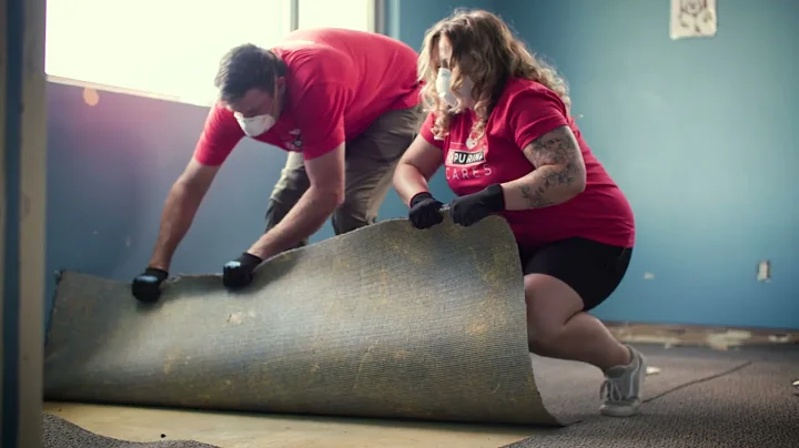 Breaking Barriers for Domestic Abuse Survivors - Purina Purple Leash Project