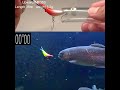 ルアーフィッシングのフッキング日本のルアーフィッシング（管釣り）では魚に優しいリリース＆周りの人に迷惑をかけない様にシングルバーブレスフック使用してます※難しいルールの方がルアーデザインに力が入ります