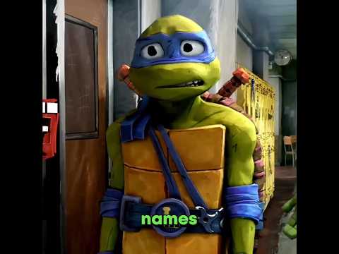 What is Turtles